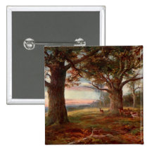 Borda da floresta de Sherwood Pins