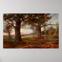 Borda da floresta de Sherwood Posters