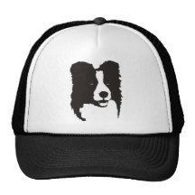 Border collie bone