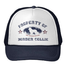Border collie bonés