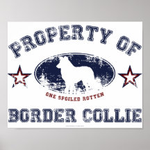 Border collie posteres