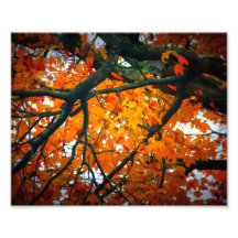 Bordo glorioso arte de fotos