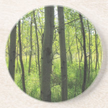 Bosque do álamo de Aspen Porta Copo Para Bebidas