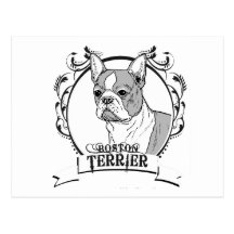 BOSTON TERRIER CARTÕES POSTAIS