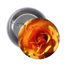 Botão cor-de-rosa da laranja boton