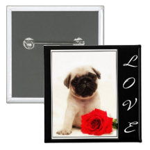 Botão do filhote de cachorro do Pug do amor Boton
