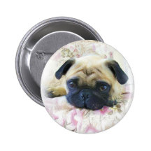 Botão do Pug Botons