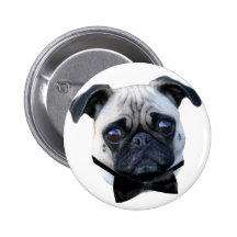 Botão do Pug do menino Boton