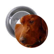 Botão do setter irlandês pins
