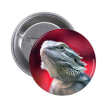 Botão principal do dragão botons