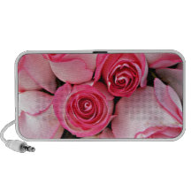 Botões do rosa do rosa sistema de som
