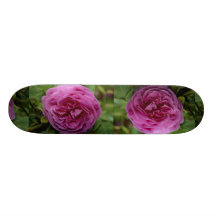 Bourbon bonito aumentou 'Louise Odier Skateboard