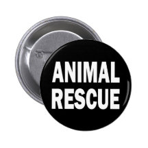 BRANCO ANIMAL DO SALVAMENTO PINS
