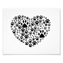 Branco do coração de Pawprints das fugas das patas Impressão Fotográfica