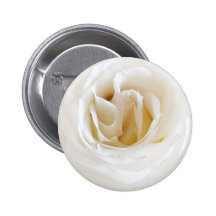 Branquea rosa - Snowy Boton