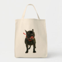 Buldogue francês bolsa