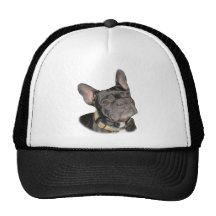 Buldogue francês bonés