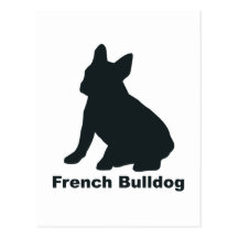 Buldogue francês cartao postal