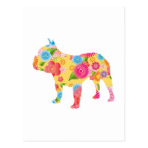 Buldogue francês cartão postal