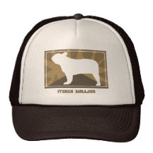 Buldogue francês da terra bone