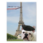 Buldogue francês em Paris Fotografias