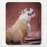 Buldogue inglês mouse pads