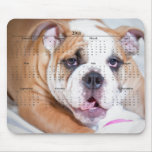 Buldogue inglês mousepad