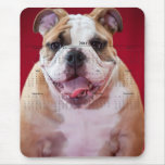 Buldogue inglês mousepad