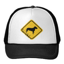 Bull terrier bonés