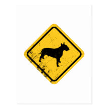 Bull terrier cartão postal