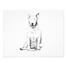 Bull terrier convites personalizado