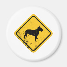 Bull terrier ima