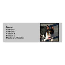 Bull terrier modelo cartoes de visitas