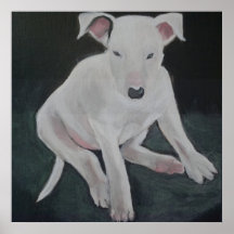 Bull terrier poster