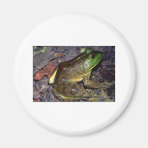 bullfrog3 imã de geladeira