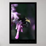 BUMBLE A ABELHA NO POSTER DO BORRÃO DA FLOR