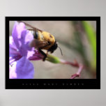 BUMBLE A ABELHA PÔSTERES