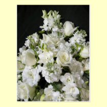 Buquê da flor branca cartões postais
