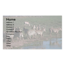 Burchell/zebra de Grant - reuna o carimbo longe de Modelos Cartoes De Visita
