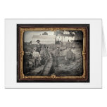 Cabeça da ravina castanha-aloirada, 1852 por Josep Cartao