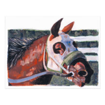 Cabeça de cavalo cartoes postais