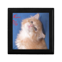 cabeça de chat1.png caixa de presente