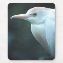 Cabeça Mousepad do Egret de gado