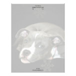 Cabeçalho do filhote de cachorro de Pitbull Modelos De Papel De Carta
