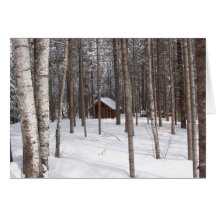 Cabine no notecard do inverno cartões