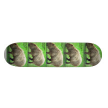 Cabybara Skate