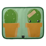 Cacto bonito organizador