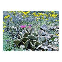 Cacto de florescência de Beavertail com Wildflower Convite Personalizados