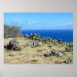 Cactos de Makapuu Impressão