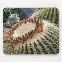 Cactus con puas alfombrilla de ratones